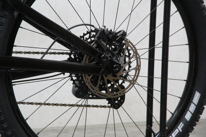 2020 Marin Hawk Hill