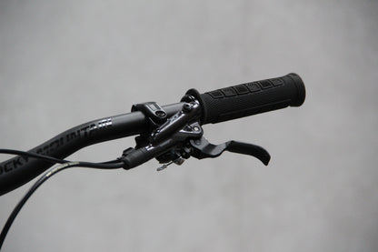 2023 Rocky Mountain Altitude