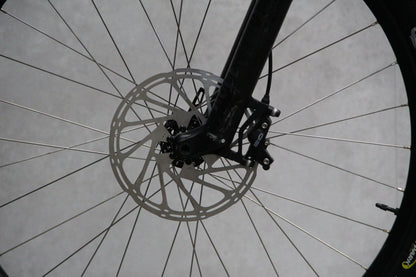 2019 Kingdom Vendetta