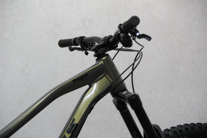 2020 Vitus Escarpe