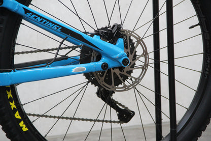 2018 Transition Sentinel