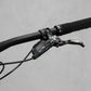 2019 Scott Genius