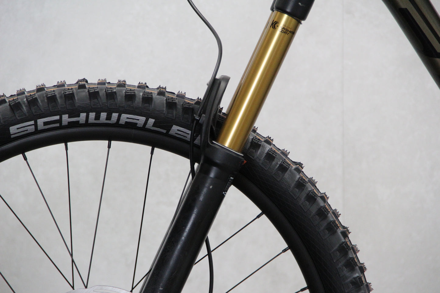 2019 Scott Genius